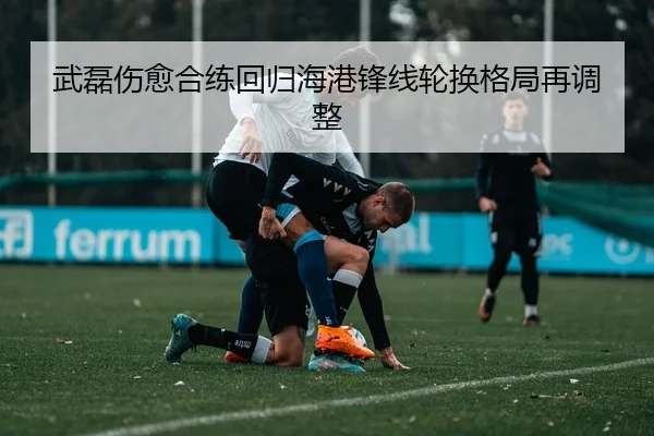 武磊伤愈合练回归海港锋线轮换格局再调整