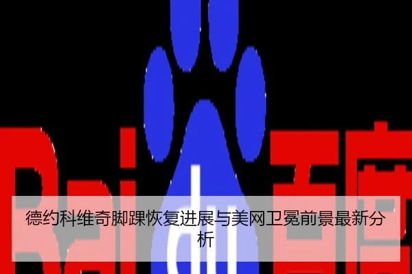 德约科维奇脚踝恢复进展与美网卫冕前景最新分析